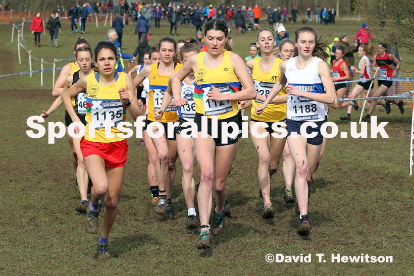 Senior women, 2020 British Athletics Inter Counties Cross Country Champs., Prestwold Hall, Loughborough. Photo: David T. Hewitson/Sports for All Pics